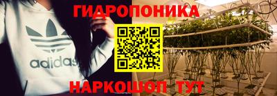 трава Усть-Илимск