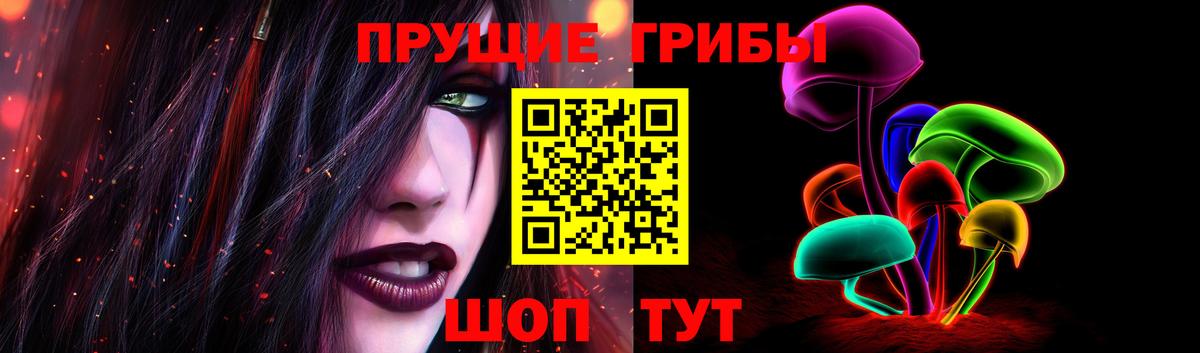 Псилоцибиновые грибы Magic Shrooms  Вход с VPN  Усть-Илимск  Псилоцибиновые грибы Psilocybine cubensis 
